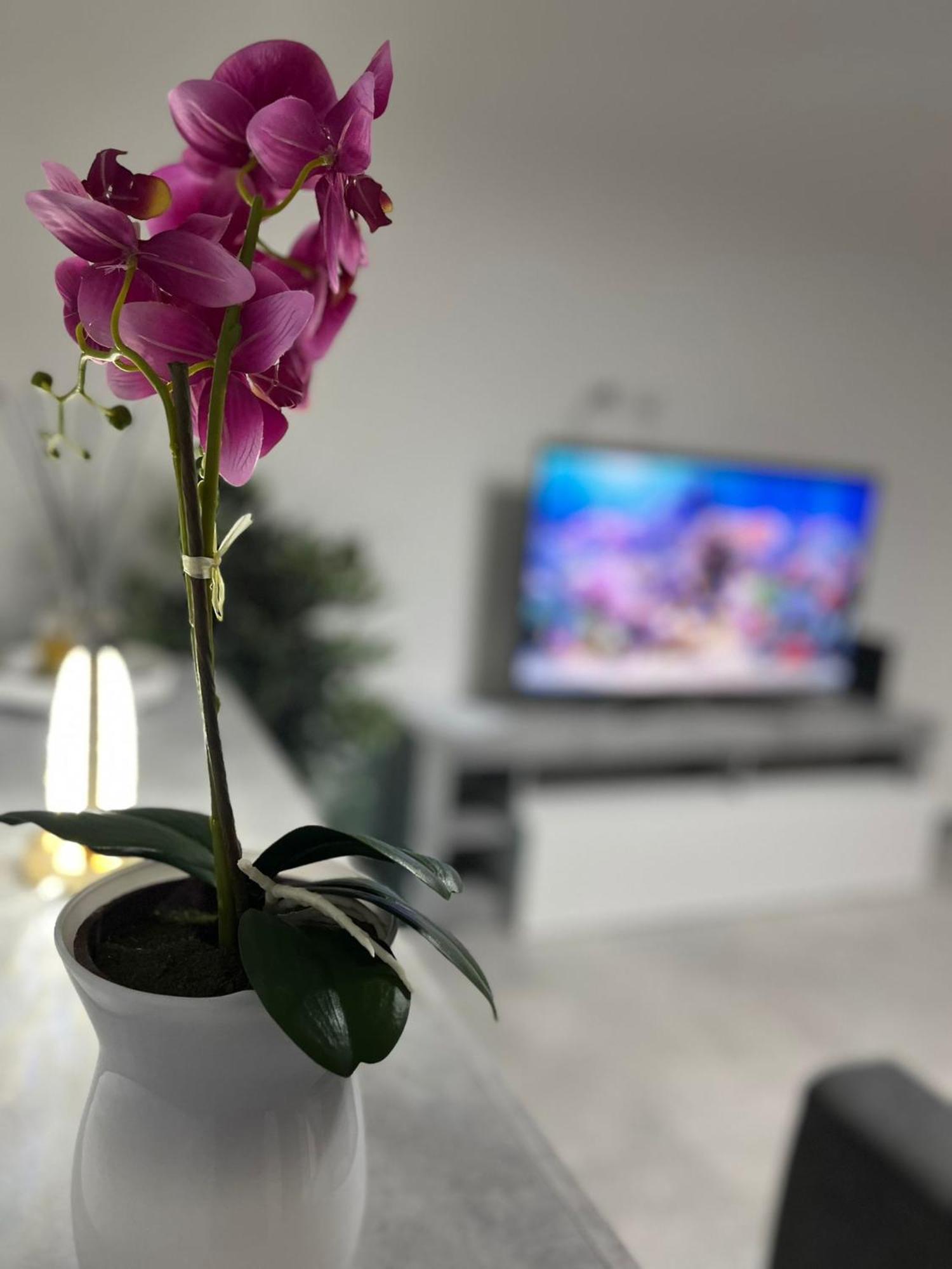 Goodbye Moon Apartment Бриндізі Екстер'єр фото